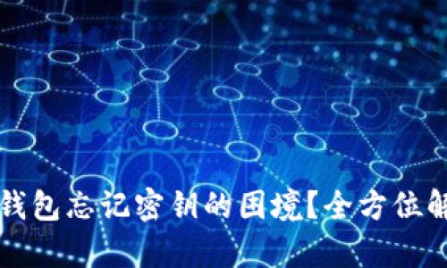 如何应对TP钱包忘记密钥的困境？全方位解决方案解析