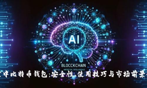 探索空中比特币钱包：安全性、使用技巧与市场前景全解析
