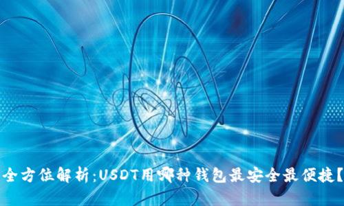 全方位解析：USDT用哪种钱包最安全最便捷？
