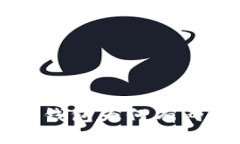 : 深度揭秘：TP钱包为何有两个不同的APP？